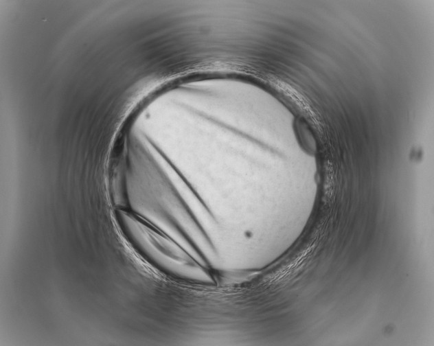 X0000094910942200712201154