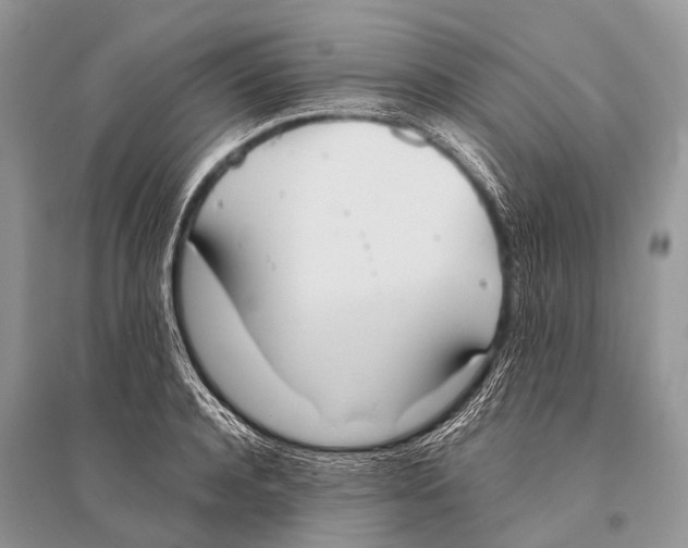 X0000094910944200712201154