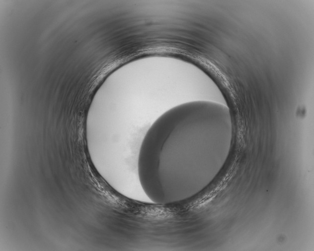 X0000094910945200712201154