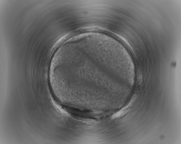 X0000094910946200712201154