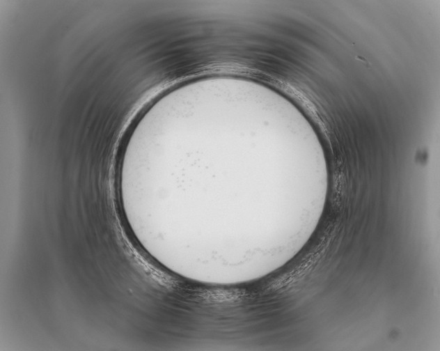 X0000094910947200712201154