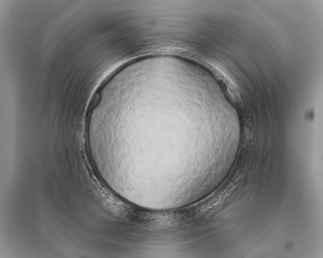 X0000094910948200712201154