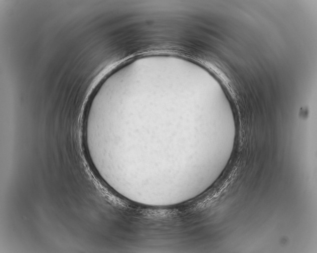 X0000094910949200712201154