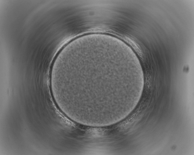 X0000094910950200712201154