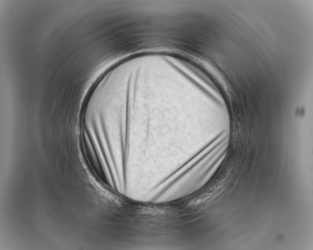 X0000094910951200712201154