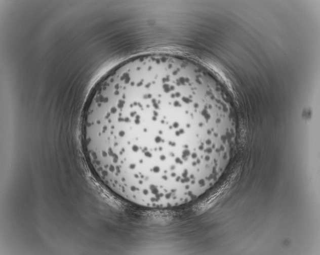 X0000094910952200712201154