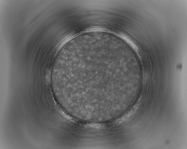 X0000094910953200712201154