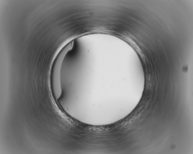 X0000094910955200712201154
