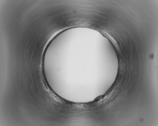 X0000094910956200712201154