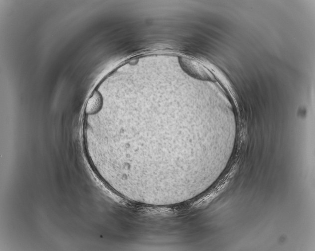 X0000094910957200712201154
