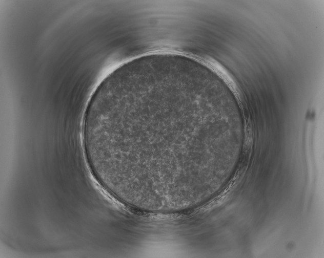 X0000094910958200712201154