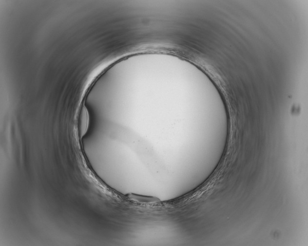 X0000094910960200712201154