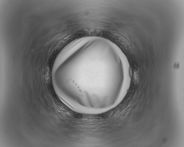 X0000094910963200712201153