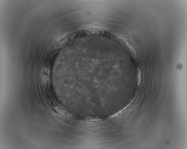X0000094910964200712201153