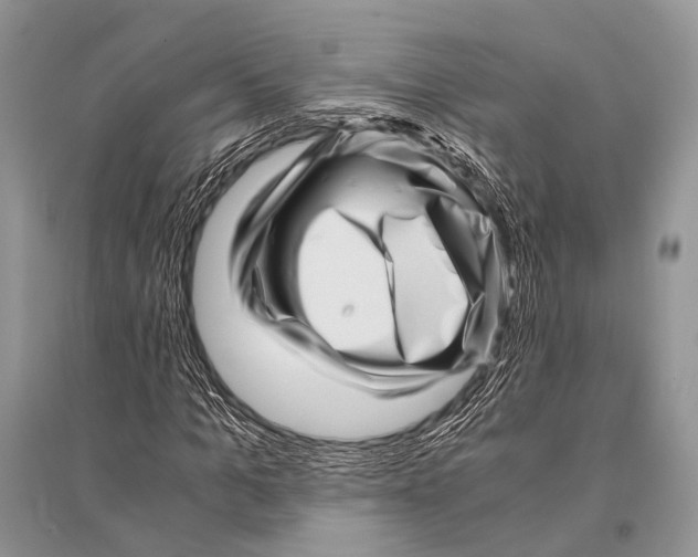 X0000094910965200712201153