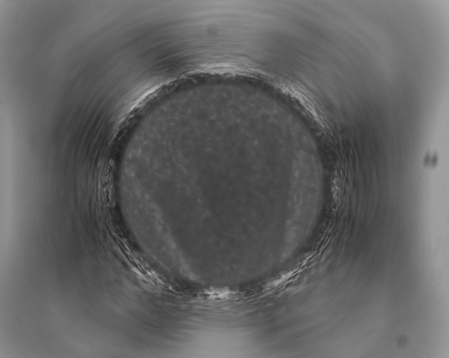 X0000094910968200712201153