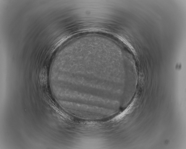 X0000094910969200712201153