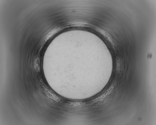 X0000094910970200712201153