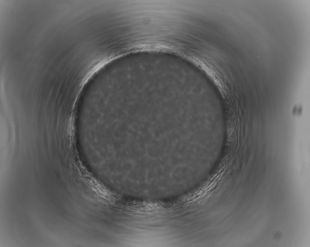 X0000094910975200712201153