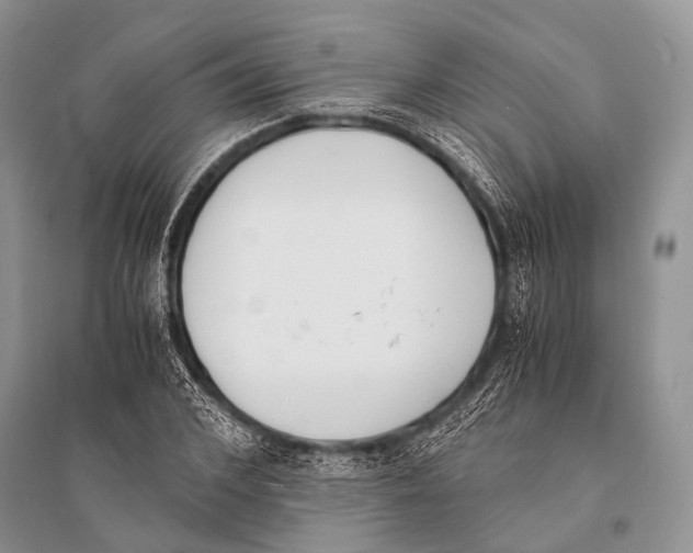 X0000094910976200712201153