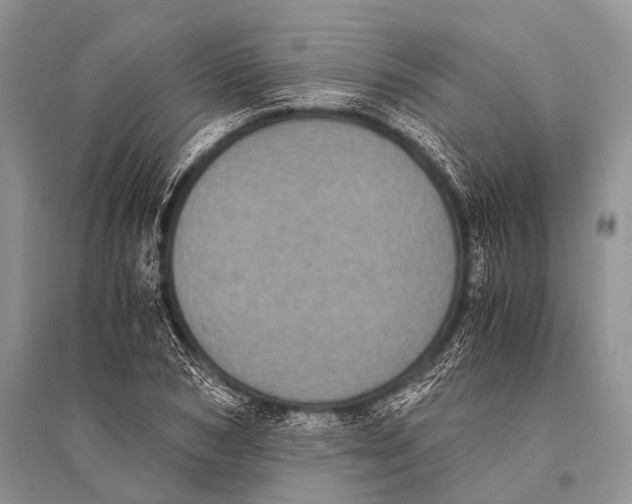 X0000094910978200712201153