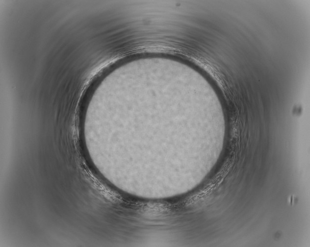 X0000094910979200712201153