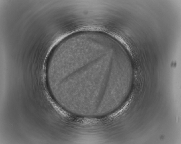 X0000094910981200712201153