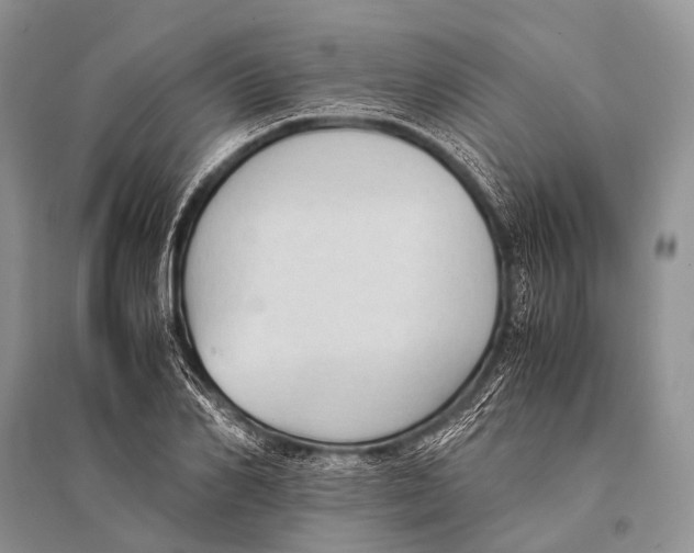 X0000094910982200712201153