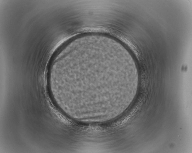 X0000094910983200712201153