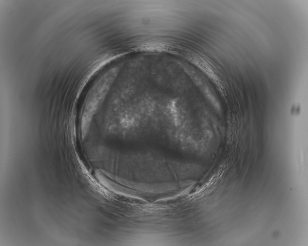 X0000094910984200712201153