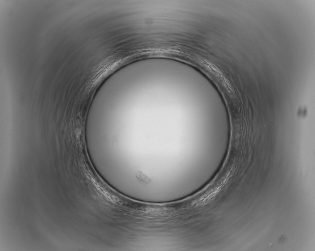 X0000094910985200712201153