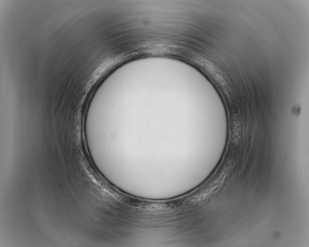 X0000094910986200712201153