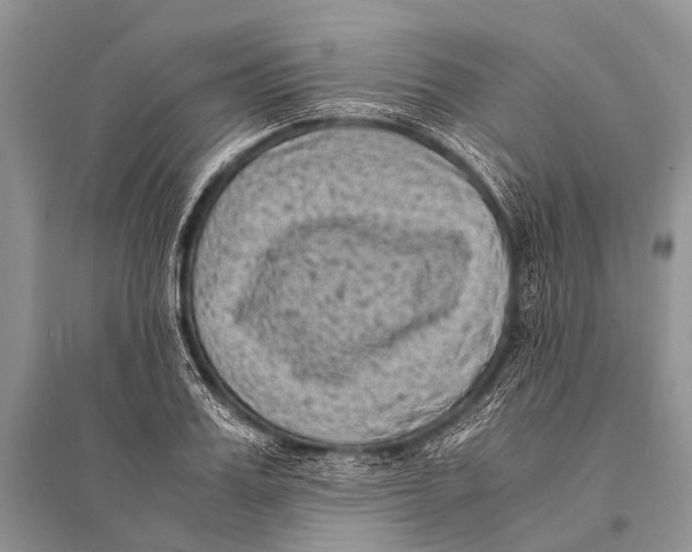 X0000094910987200712201153