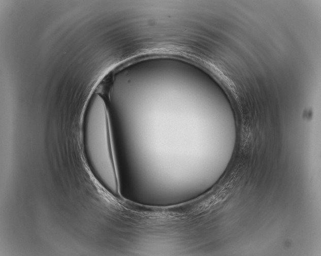 X0000094910988200712201153