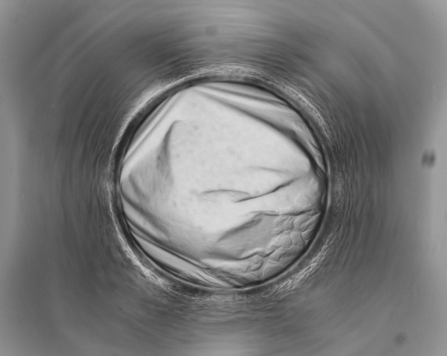 X0000094910989200712201153