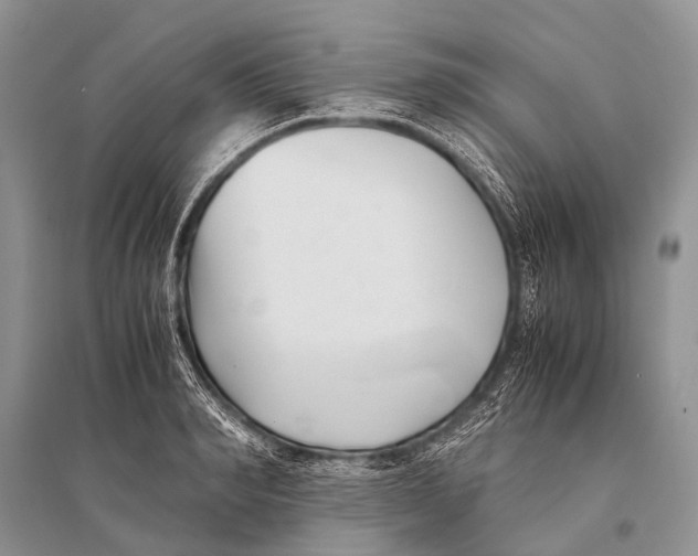 X0000094910990200712201153
