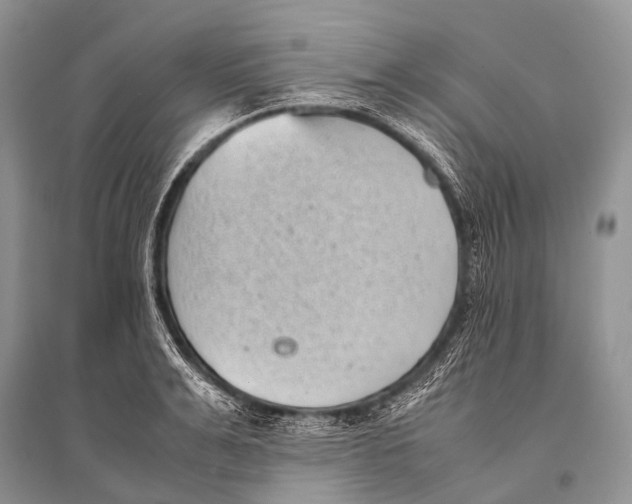 X0000094910991200712201153