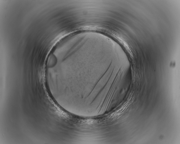 X0000094910992200712201153