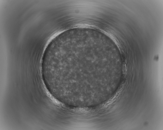 X0000094910995200712201153