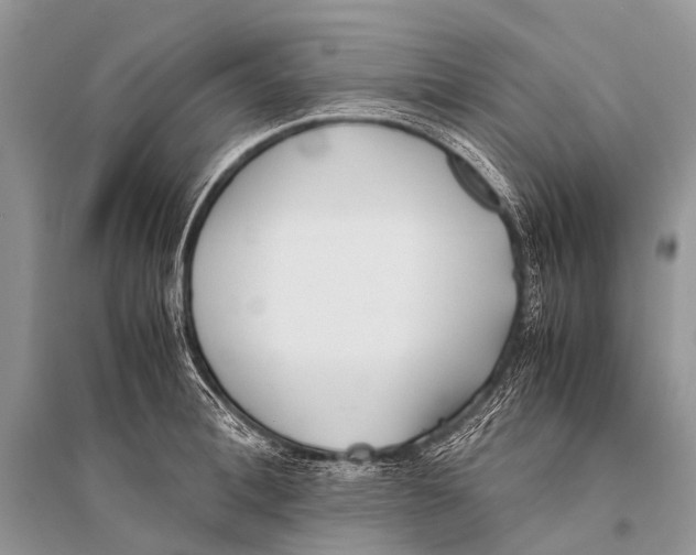 X0000094910996200712201153
