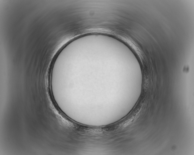 X0000094910999200712201153