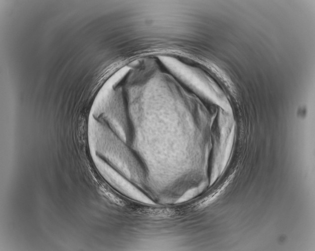 X0000094911001200712201153