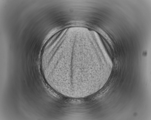 X0000094911002200712201153