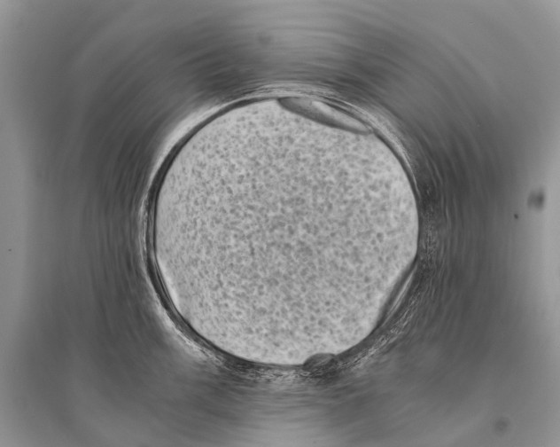 X0000094911003200712201153