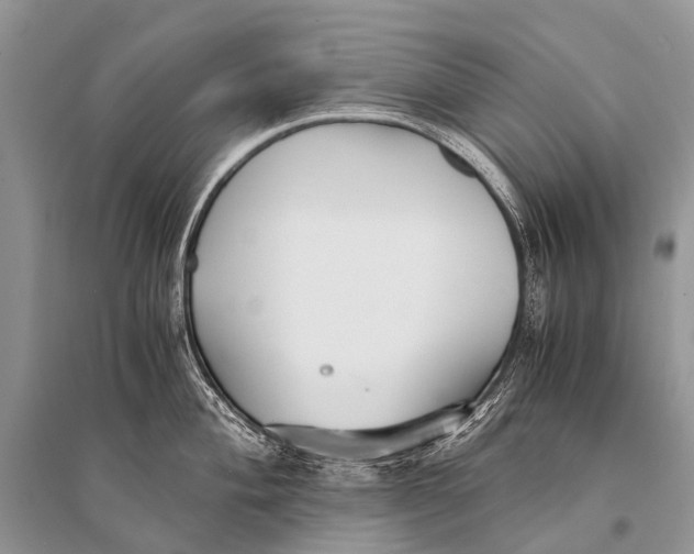 X0000094911004200712201153