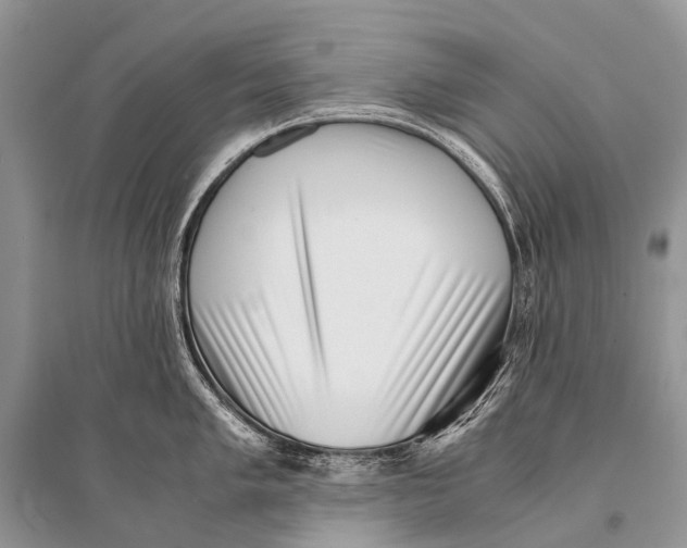 X0000094911005200712201153