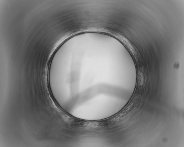 X0000094911006200712201153