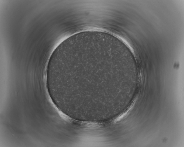 X0000094911007200712201153