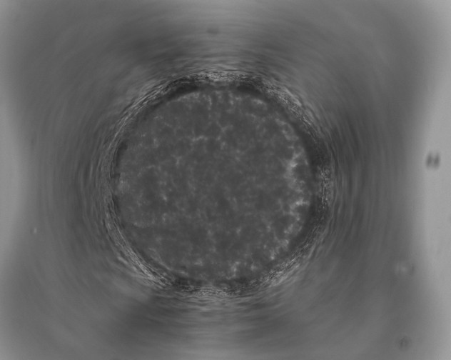 X0000094911009200712201152