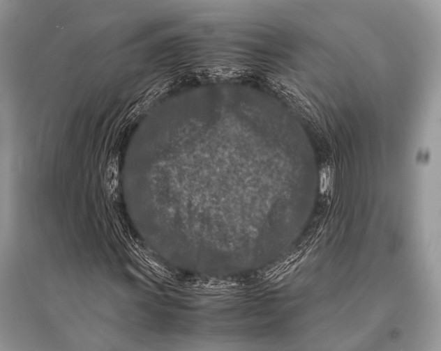 X0000094911011200712201152